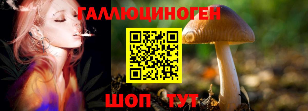 Псилоцибиновые грибы GOLDEN TEACHER  Вход с VPN  купить наркоту  Усолье-Сибирское 